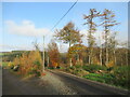 Track junction north of Doune in FK16 6ER