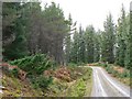 Track in Rannoch Forest in PH17 2QR