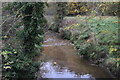 Pix Brook in Etonbury Wood in SG5 4TS