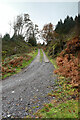Steep track above Hafna mine in LL27 0YZ