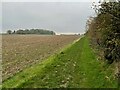 Bridleway to Lordship Farm in SG5 3SH