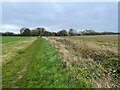 Drainage ditch by the footpath to Snailswell in SG5 3RS