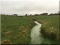Stream through a field near Troutbeck in CA11 0SG