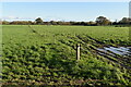 Waterlogged field opposite Pyles Farm in PO7 6FY