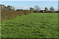 Path across field to Little Denmead Farm in PO7 6FY