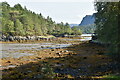 Coastline near Plockton in IV52 8TT