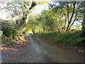 Lane to Penterry Farm, Penterry, near St Arvans in St. Arvans Community