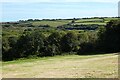 Woods and farmland, Mabe in TR10 9JE