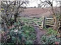 Rickety gate on a footpath across the fields in Osmaston
