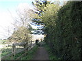 Footpath between rear of Hoylake Road and Portsmouth Golf Club in PO6 1EY