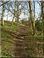 Footpath Steps leading towards Storeton. in CH61 1DF
