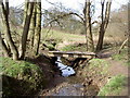 Footbridge over Prenton Brook. in CH61 1DF