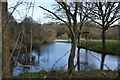 Pond by Burnt Lodge Lane in TN5 7LA
