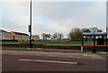 Bus shelter on Linskill Terrace in NE30 2AG