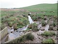 Culvert on Cowstand Burn in NE48 3JA