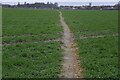 Footpath across field in TN29 9LW