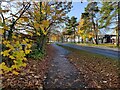 Path along the A451 Stourport Road in DY11 7FB