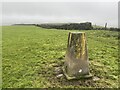 Trig point on Cefn Gwyngul in CF39 9UE