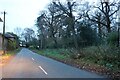Nettleden Road, Little Gaddesden in HP4 1QT