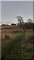 Muddy Path North of Seafield in Seafield