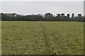 Footpath across field in RH6 9NS