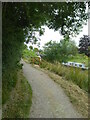 The canal towpath approaching Semington bottom lock in SN12 6EA