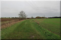 Footpath to Lower Wintringham Farm in PE19 0BB