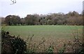 Field and woods by London Road, Berkhamsted in HP4 2NL