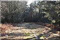 Wide track, Ashdown Forest in TN6 1GW