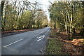 B2188, Ashdown Forest in TN6 1GW