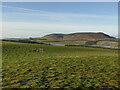 Black Mount seen from Shaw Hill in EH46 7AQ