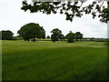 Pollardshill Farm from across fields in RH13 9FT
