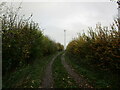 Footpath and telecommunications mast, Saxondale in NG13 8AY