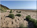 Berrow Dunes and Brean Sands in TA8 2QT