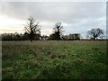 Grass field and Cropwell Grange in Cropwell Butler