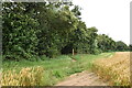 Footpath into woods in RG9 4PU