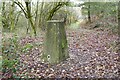 Trig point on Backbury Hill in Backbury Ward