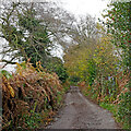 Bridleway near Bishopswood in Staffordshire in ST19 9AT
