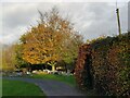 Autumn colour St Philip and St James' Church, Hallow in WR2 6PW