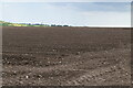 Bare field in CT9 4LW
