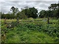 Gate and Stile near former Thurlbury Station in BA16 9SQ