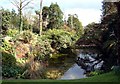 Pond at Heligan Gardens in PL26 6EH