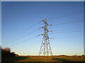 Electricity pylon near Ashby Folville in LE14 2TE