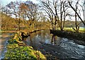 The River Goyt near Mousley Bottom in SK22 3AT