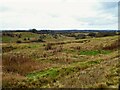 Rough pasture around a dry valley in OL11 2RZ