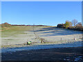 Frost on Croydon Hill in Croydon