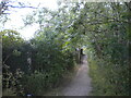 Public footpath behind Egmanton Road, Meden Vale (1) in NG20 9QA