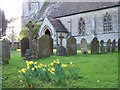 Churchyard, St Martin's Church, Zeals in BA12 6LW
