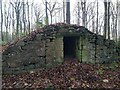 Icehouse in the woods at Kilconquhar Loch in KY9 1LE