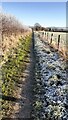 A frosty footpath between Warwick Mill and Allen Grove in CA8 9AU